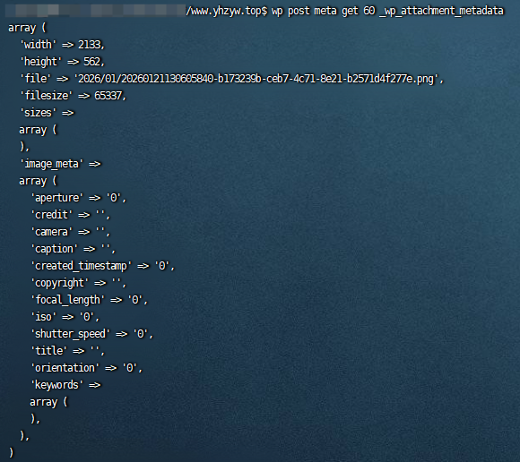 图片[2]-利用WP-CLI快速清理缩略图元数据